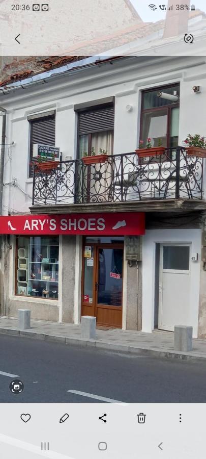 Cazare Centrum Curtea de Argeş Extérieur photo